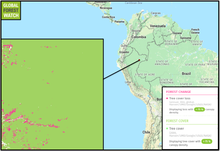 Global Forest Watch maps show tree cover loss in the vicinity of the United Cacao plantation on top of forest with 75 percent canopy density. Satellite images don’t turn up tree cover loss on the plantation before 2012 (above), only after 2013 (below). The company began clearing the land to plant cacao in May 2013. By August 2014, crews had cleared more than 2,100 hectares.