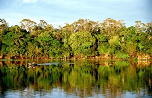 La Amazonia estuvo en los ojos del mundo durante la Iniciativa Aguas Amazónicas. Cristián Samper ha dedicado toda su vida a su estudio y conservación. (Fotografía: Andre Deak)
