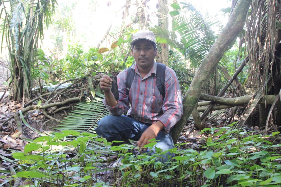 Iván Flores, holding tree seedlings he was going to plant in the forest area that he has lost. Photo by Barbara Fraser.