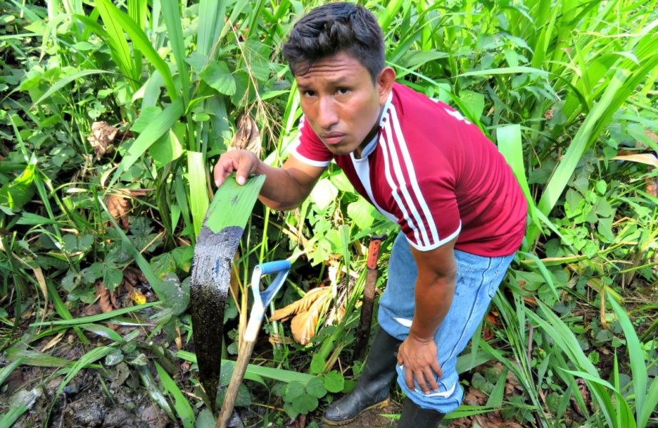 Hoja con petróleo sostenida por el apu de Nuevo Andoas, Teddy Guerra Magin. Fotografía de Milton López.