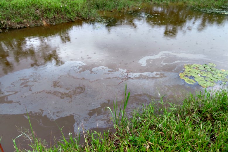 Laguna de "Ullpayacu" con aceites y derivados del crudo. Fotografía de Milton López.
