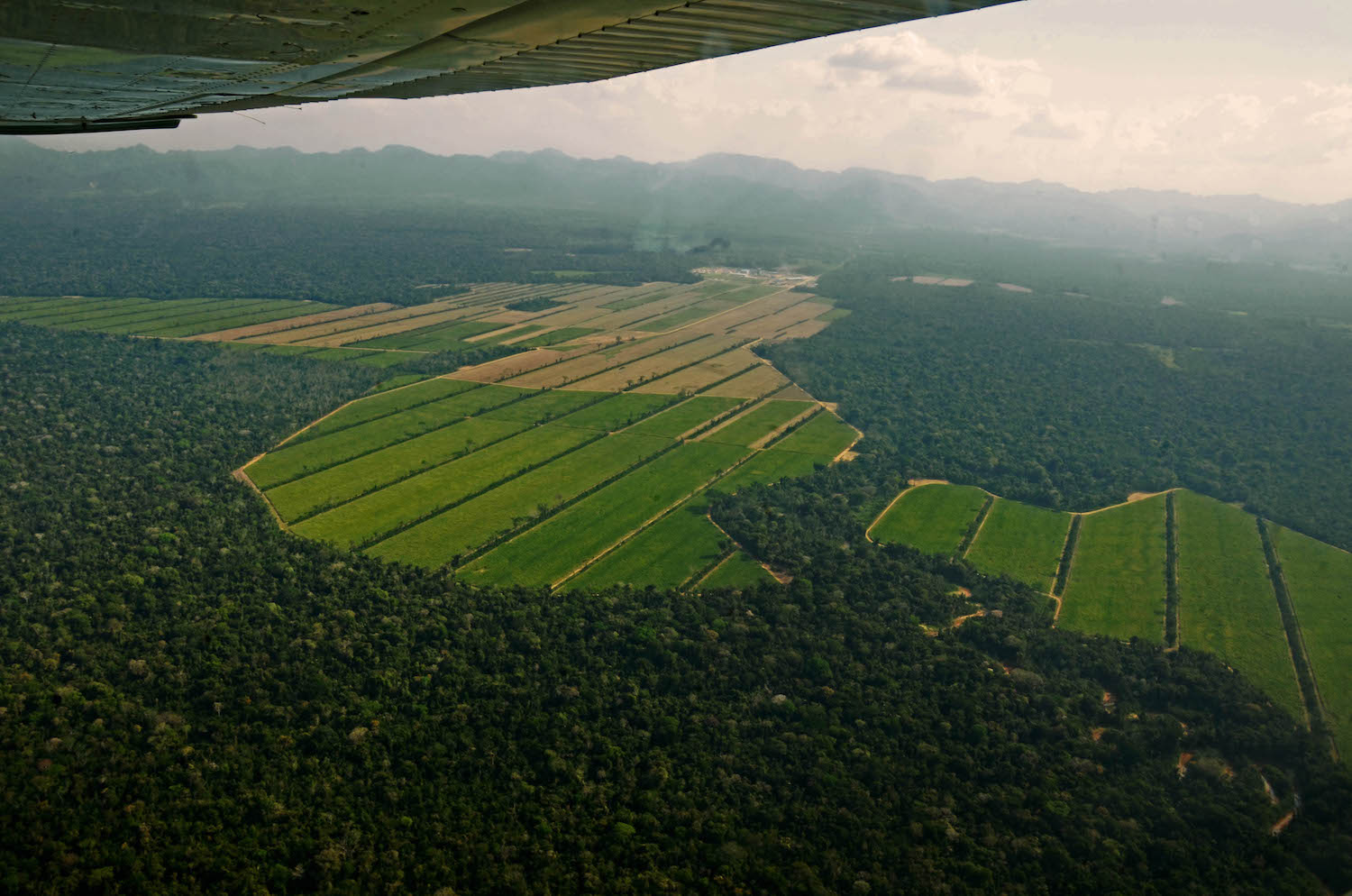 Aerial image showing deforestation in the municipality of San Buenaventura. Photo by Eduardo Franco Berton